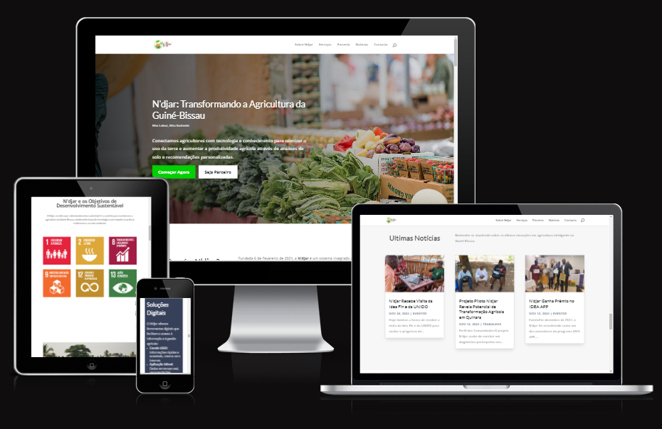 Website NDJAR
